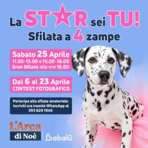 La STAR sei TU!