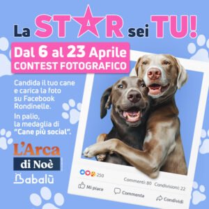 La STAR sei TU! – Contest Fotografico